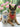 dog bandana sewing pattern pdf